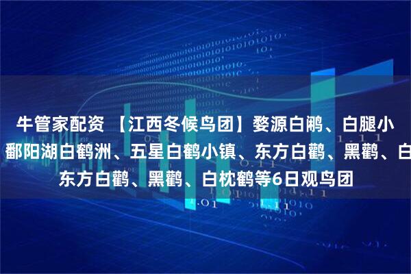 牛管家配资 【江西冬候鸟团】婺源白鹇、白腿小隼、中华秋沙鸭、鄱阳湖白鹤洲、五星白鹤小镇、东方白鹳、黑鹳、白枕鹤等6日观鸟团