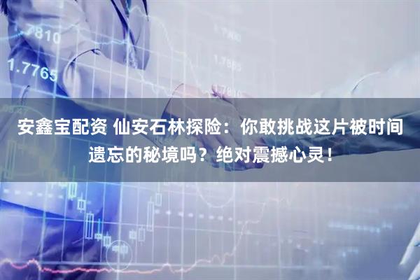 安鑫宝配资 仙安石林探险:你敢挑战这片被时间遗忘的秘境吗?绝对震撼心灵!