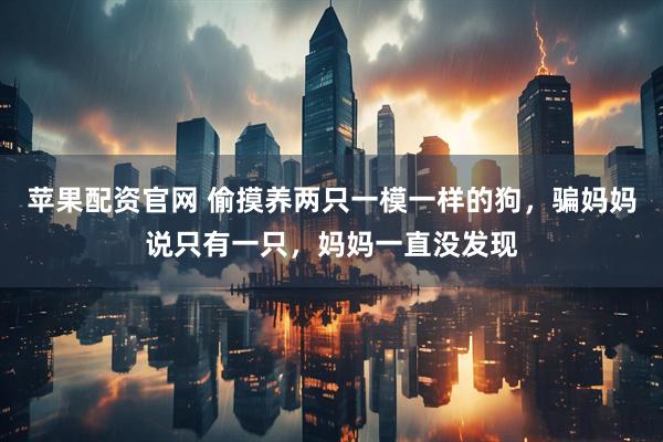 苹果配资官网 偷摸养两只一模一样的狗，骗妈妈说只有一只，妈妈一直没发现